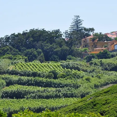 Quinta Da Faianca *